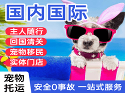 琼海博鳌空运代理国际宠物托运 【国